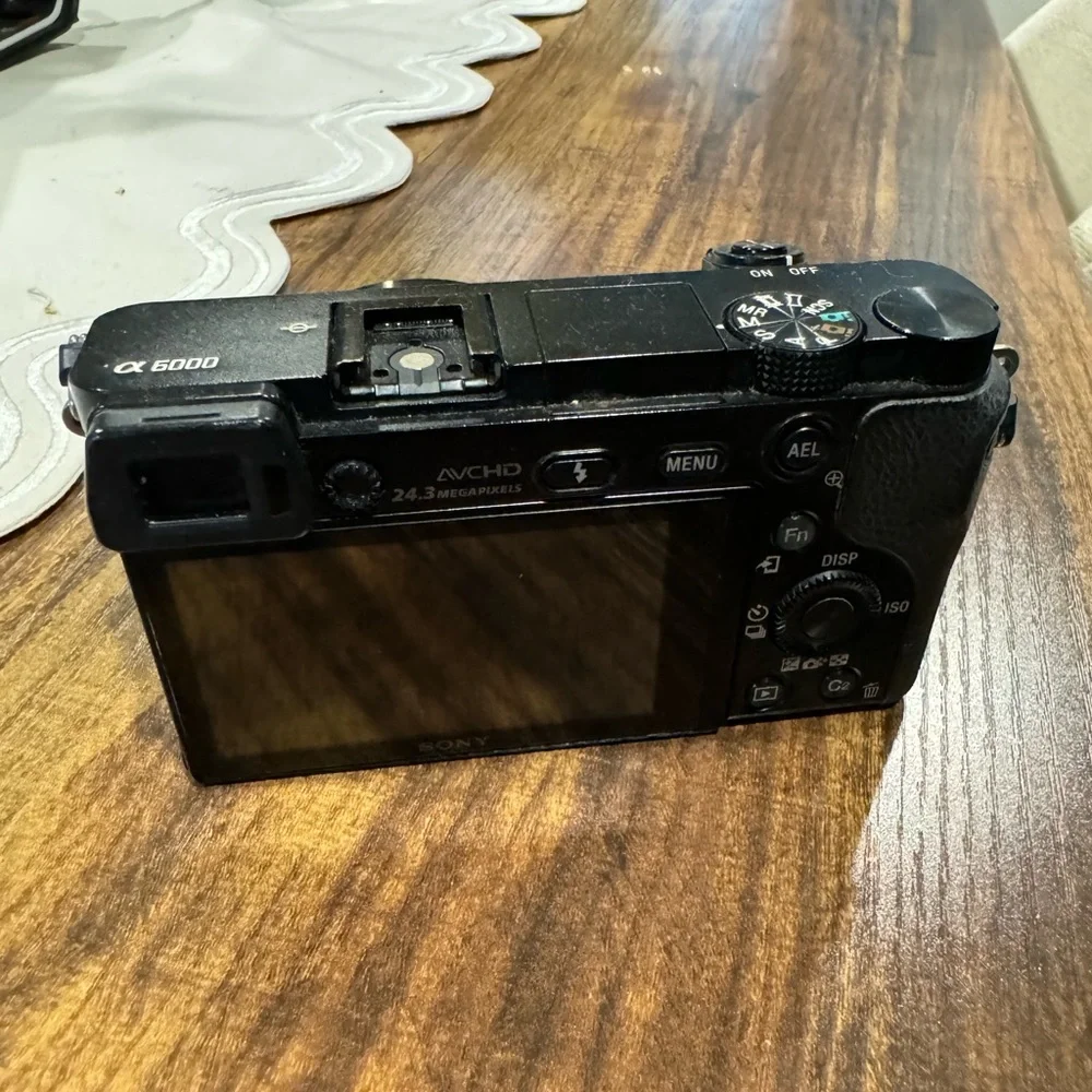 Sony Alpha a6000 Mirrorless Camera Body - Black